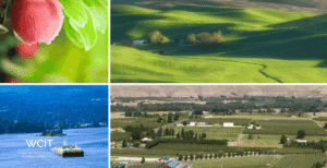 Washington’s Economy: Technology, Trade, and Agriculture
